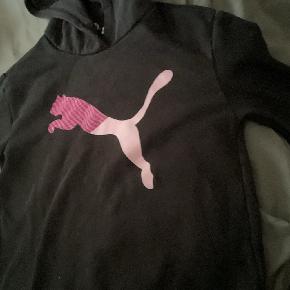 Hood - Picture 2 of 5
